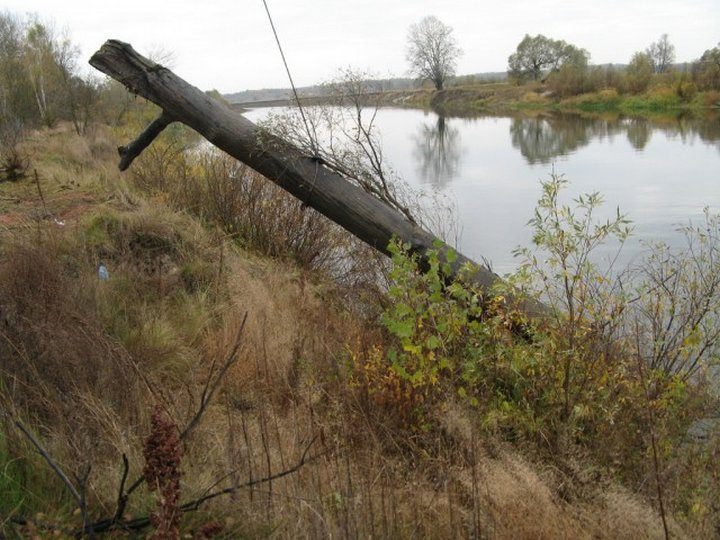 upių ąžuolų svorio kritimas numesti svorio 300 kg