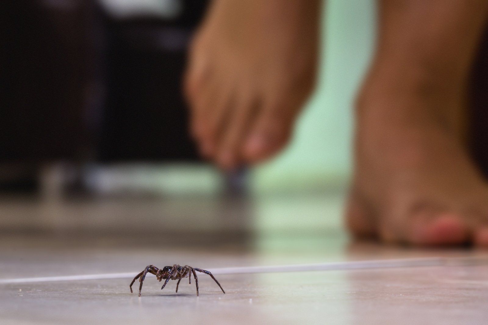 ar svorio metimas padeda vorų venoms 80 svarų svorio metimas prieš ir po